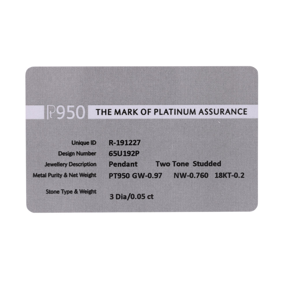 PN set with dia L