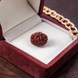 Rudraksha