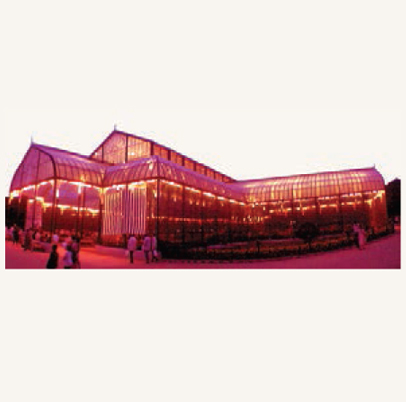 1969