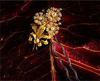 staticfranchisepageimage
