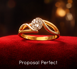 Proposal Perfect