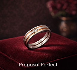 Proposal Perfect